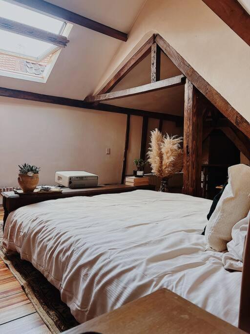 Romantic Unesco Medieval House In The City Center Gent Exteriér fotografie